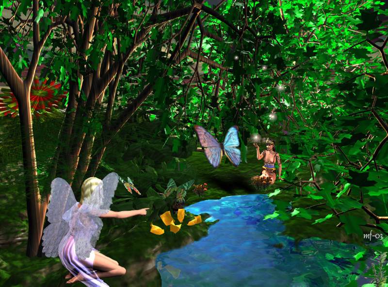 en enchanted forest