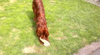 aimee